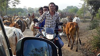Streetlife in Indien