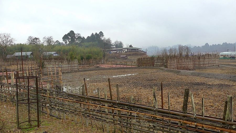Ziro-Tal mit brach liegenden Feldern - Indien - Nordosten - Land und Leute