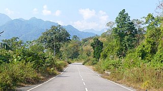 Bergurwald zwischen Roing und Pasighat - Indien-Nordosten-Landschaft