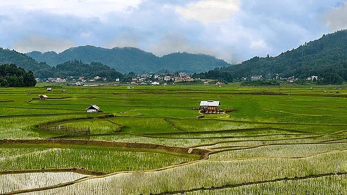 Liebliches Ziro-Tal in Arunachal Pradesh - Indien-Nordosten-Landschaft
