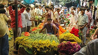 Gro&szlig;er Blumenmarkt in Calcutta - West-Bengalen: Land-und-Leute