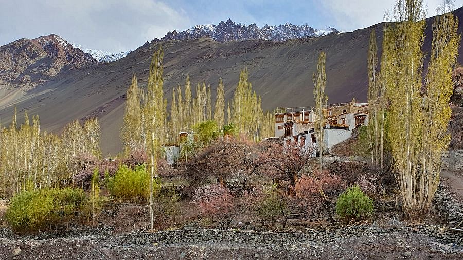 Bauernhaus in Alchi - Ladakh: Landschaft