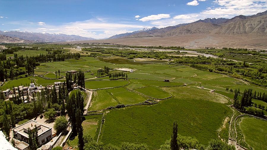 Das Tal von Phyang - Ladakh: Landschaft