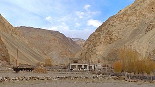 Homestay in Markha Village - Ladakh: Essen & Schlafen