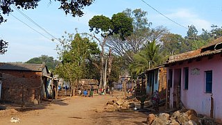 Dorfstra&szlig;e in einem Dorf bei Pushangia - Chhattisgarh: Land-und-Leute
