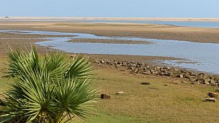 Lagune am Chandrabagha Beach - Chhattisgarh: Landschaft