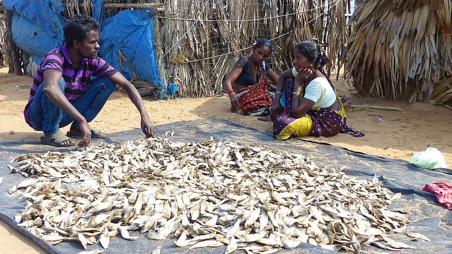 Fischtrocknen - Chhattisgarh: Land-und-Leute