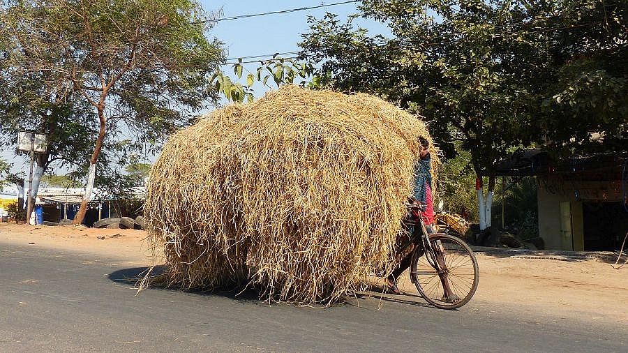 Strohtransport auf indisch - Streetlife in Indien