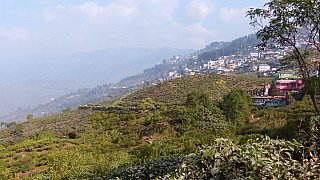 Blick auf Darjeeling - West-Bengalen: Landschaft