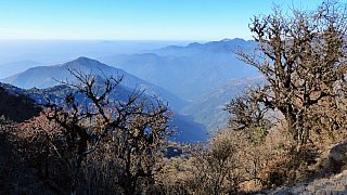 Ausblick zwischen Kali Pokhari und Sandakphu - West-Bengalen: Landschaft