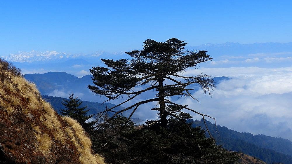 Blick von Sandakphu - West-Bengalen: Landschaft