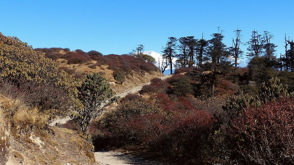 Wegstrecke auf dem Singalila Ridge Trek - West-Bengalen: Landschaft