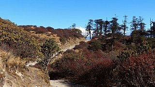 Wegstrecke auf dem Singalila Ridge Trek - West-Bengalen: Landschaft