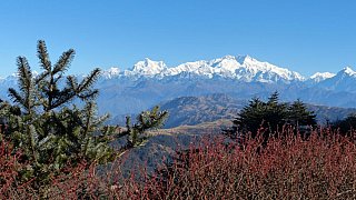 Kangchenjunga auf dem Singalila Ridge Trek - West-Bengalen: Landschaft