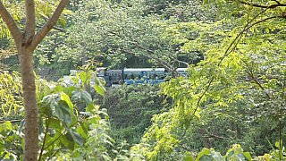 Schmalspurbahn zwischen Siliguri und Darjeeling - Indien mit dem Zug