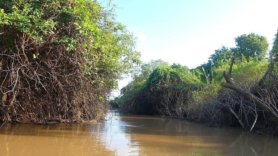 Wasserlandschaft am Mekong - Kambodscha-Landschaft