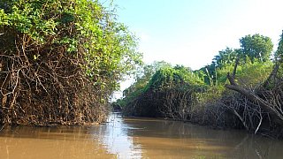 Wasserlandschaft am Mekong - Kambodscha-Landschaft