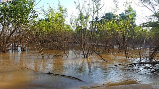 Wasserwege zur Insel - Kambodscha-Landschaft