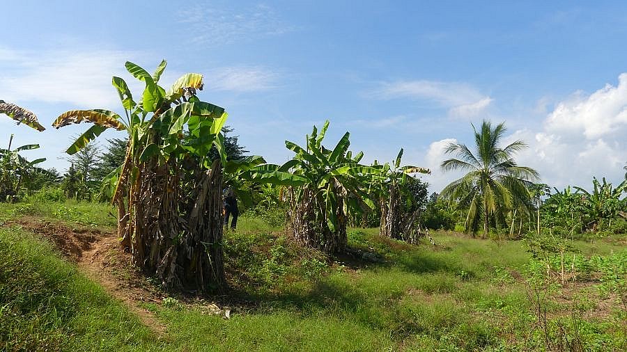 Unterwegs auf der Insel - Kambodscha-Landschaft