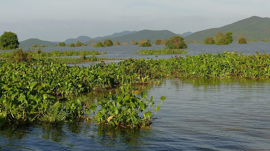 Tonle Sap-Flusslandschaft - Kambodscha-Landschaft
