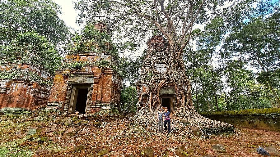 &Uuml;berwucherte Pagoden in Koh Ker - Kambodscha - Sehensw&uuml;rdigkeiten