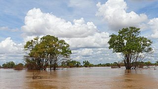 Mekong Flusslandschaft - Kambodscha-Landschaft