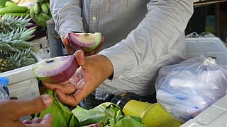 "Milky" Fruit - Kambodscha - Land und Leute