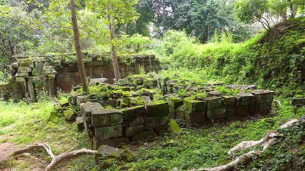 Pfad durch den Dschungel in Angkor Thom - Kambodscha - Sehensw&uuml;rdigkeiten