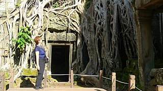 &Uuml;berwucherter Ta Prohm-Tempel - Kambodscha - Sehensw&uuml;rdigkeiten