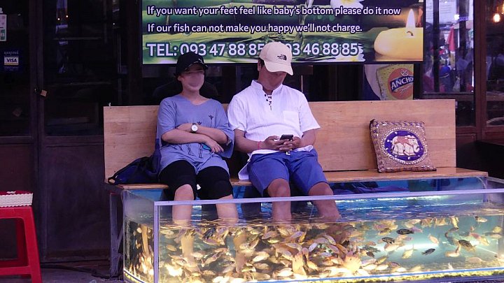 Fisch-Spa in Siem Reap - Kambodscha - Land und Leute