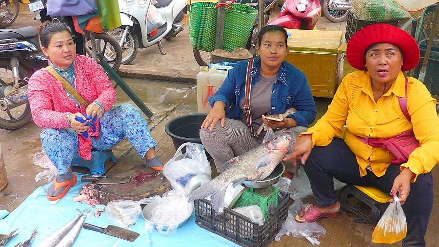 Marktstand und Pasai-Fisch - Kambodscha - Land und Leute