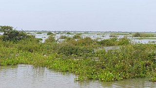 Tonle Sap See - Kambodscha-Landschaft