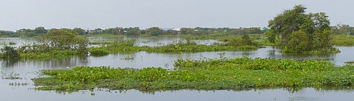 Bootstour auf dem Tonle Sap - Kambodscha-Landschaft
