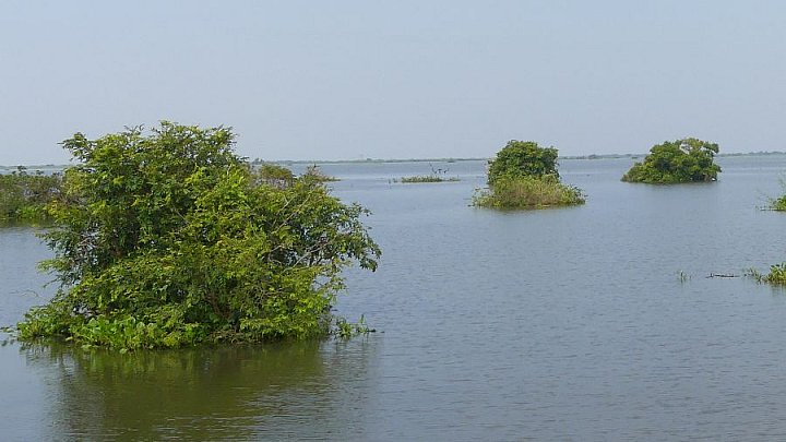 &Uuml;berflutete B&auml;ume im Hochwasser des Tonle Sap - Kambodscha-Landschaft