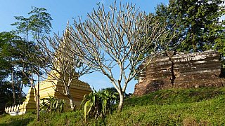 That Phum Phuk-Pagode bei Luang Namtha - Laos - Sehensw&uuml;rdigkeiten