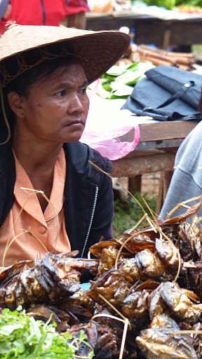 Getrocknetes Fleisch auf dem Morgenmarkt - Laos - Land und Leute