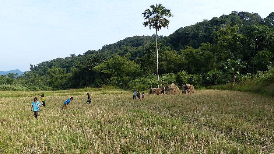 Feldarbeit im abgelegenen Norden von Laos - Laos - Land und Leute