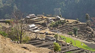 Terassenfelder an den Bergh&auml;ngen - Nepal Himalaya-Panoramen
