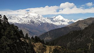 Dhaulagiri von Deorali bei Ghorepani - Nepal Himalaya-Panoramen