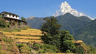 Blick von Naudanda zum Machhapuchare - Nepal Himalaya-Panoramen
