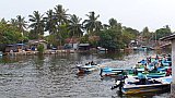 Lagune von Negombo - Sri Lanka - Land und Leute