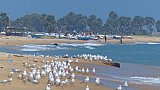 Strandleben an der Ostk&uuml;ste - Sri Lanka - Land und Leute