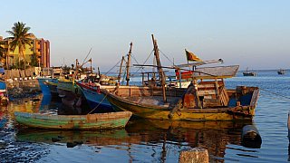 Fischerboote in Jaffna - Sri Lanka - Land und Leute