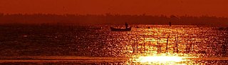 Abendliche Idylle - Sri Lanka - Landschaft