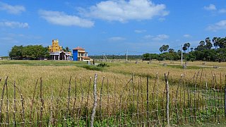 Kleiner bunter Tempel - Sri Lanka - Land und Leute
