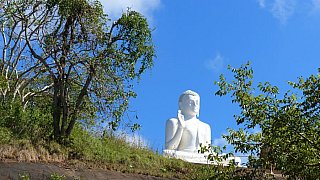 Fast oben und sehr viel mehr Sicht auf den Buddha - Sri Lanka - Sehensw&uuml;rdigkeiten