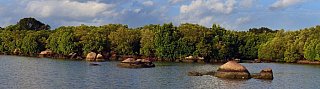 Mangrovenw&auml;lder in der Irrakkakandi-Lagune - Sri Lanka - Landschaft