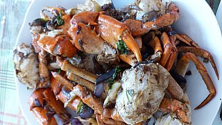 Fangfrische Krebse - Sri Lanka - Essen und Schlafen