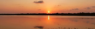 Sonnenuntergang am Madukolum Stausee - Sri Lanka - Landschaft