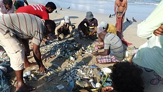 Fischer beim M&uuml;llsortieren - Sri Lanka - Blog